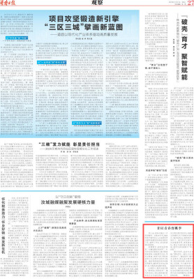 甘以青春育桃李 | 湖南日报