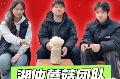 此心安处是吾乡②｜珊瑚猴头菇x丰足味：一座棚，生“财”旺