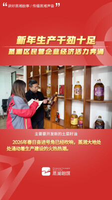 建设副中心 争当排头兵|蒸湘区：新年生产干劲十足 民营企业经济活力奔涌