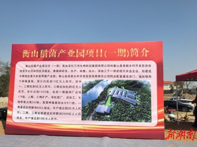 探索“稻菌循环”全产业链模式 衡山稻菌产业园开工建设