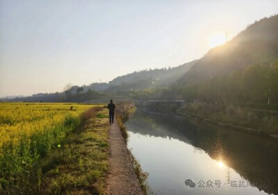 散文丨身边的远方，武水河畔觅得一片金海
