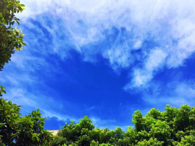 美丽蓝天丨预计未来3天湘潭空气质量持续优良