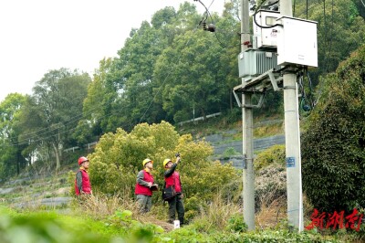 激活春日经济 国网衡阳供电公司助力茶旅融合 