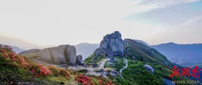 散文丨白水仙山：四月杜鹃燃仙山 五月云霞覆招摇