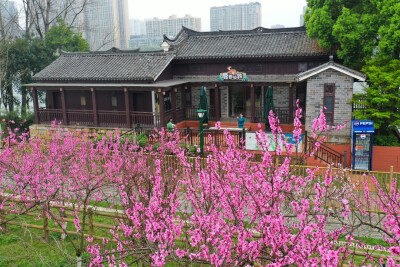 组图｜来东洲岛 赴一场与春天的约会