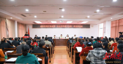 益阳市龙灯协会成立