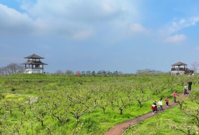 组图｜珠晖区：最美人间四月天 梨园春假踏青来