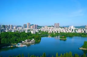 视频丨春游北湖 不负好春光