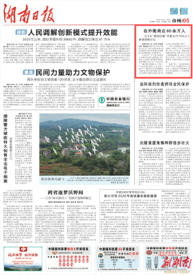 在外衡商达60余万人 近5年“衡商回衡”贡献全市70%以上新增规模企业｜湖南日报
