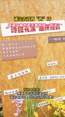 诵完古诗再“拆”诗 花溪山林的春天被拼成一首新诗