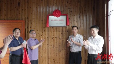 雁峰区“文艺赋美乡村”创作基地在山林村揭牌