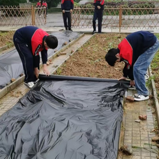 种菜、做擂茶、煎蒿子粑粑……桃江县城北中学解锁劳动教育新“玩法”