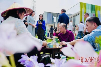 走，采茶去！南岳龙池村千亩茶园等你来