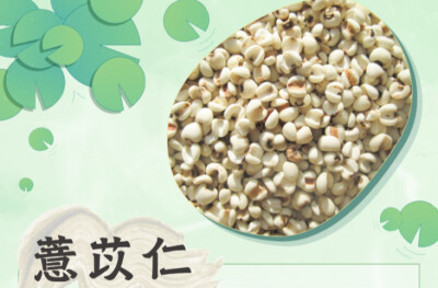 药食同源·谷雨|祛湿就吃它！薏苡仁养生法，轻松告别困重乏力