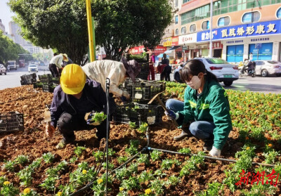 珠晖区：“景”上添花迎五一 绿化提质焕新颜