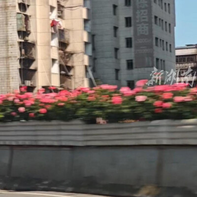来自衡阳的“铁汉柔情”，工业城市也会“绣花”
