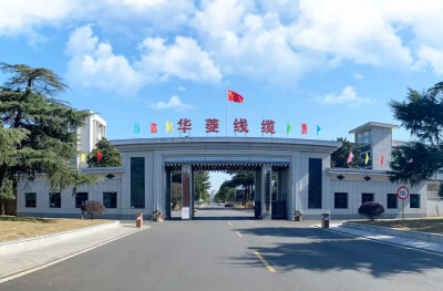 华菱线缆自主出口苏里南项目首批货物启运