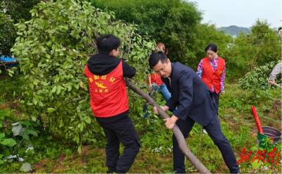 聚力植树添青绿，绿色邮政向未来——衡阳邮政雁峰区分公司开展义务植树活动