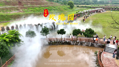 视频｜金甲玫瑰园，那是岁月写给大地的情书