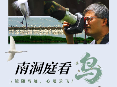 南洞庭看鸟｜短嘴豆雁：一个名字很绕口，长相憨憨的北极来客