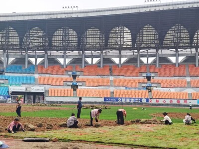 全新升级！湘超郴州队主场、训练场改造