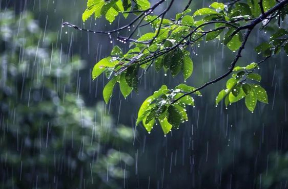 最高34℃！重点防范高考期间（7日至9日）较强降雨