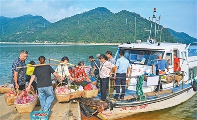 人民日报·视觉丨东江湖“水果班船”助农增收