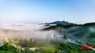 好听！这首《我的家里有一碗茶》，藏着安化人最熟悉的味道