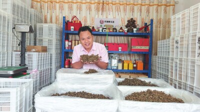 睡过桥洞的打工仔成了乡村CEO：在岳阳把椒子茶做成百万产业