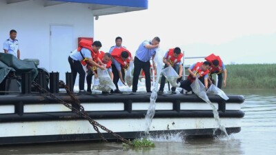 岳阳市华容县开展2026年天然水域水生生物增殖放流活动