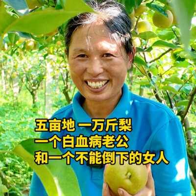 五亩地，一万斤梨，一个白血病老公，和一个不能倒下的女人