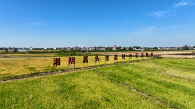 农闲修路通渠 产业扎根沃土