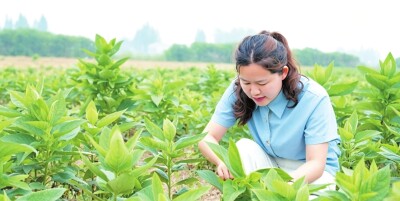 大都市写字楼回到小山村田埂
