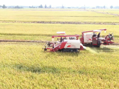 新农人、新装备，湖南“双抢”玩出新花样