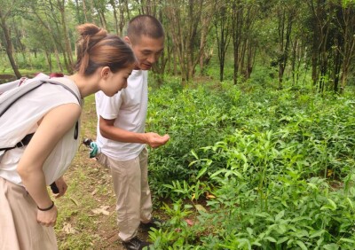 湖南工学院实践团走进永州龙坪药材基地 记录“老五”蒋全旺的乡村振兴梦