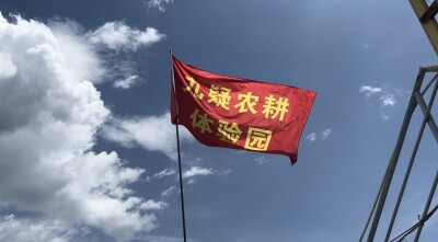湖南工学院学子深入永州九疑瑶乡 新媒体助农拓销路