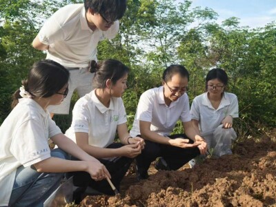 湖南工学院暑期社会实践团深耕田间沃土 为乡村耕地做“土壤体检”