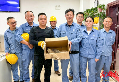 湖南石化员工接力救助国家保护动物