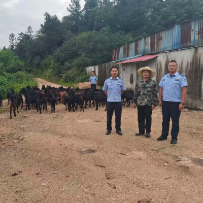 烈日寻羊！湘潭县公安帮村民找回走失羊群