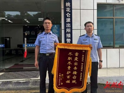 赫山区｜蟊贼拉车门盗取车内现金，桃花仑派出所快速破案获群众锦旗致谢