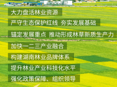 湖南发布2026年第2号总林长令 锚定林业产业产值“十五五”突破7400 亿元