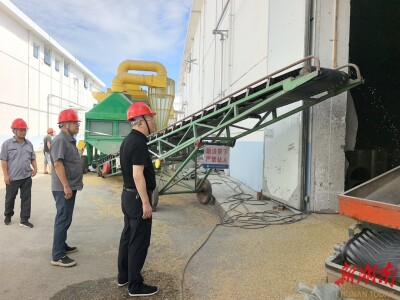 益阳落实早籼稻1.28元每斤最低收购价，让农户卖“明白粮、放心粮、舒心粮”