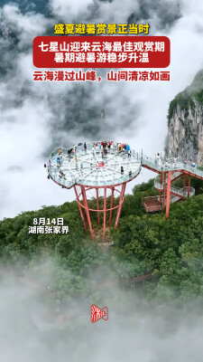 高山纳凉看云海，七星山暑期避暑游持续升温