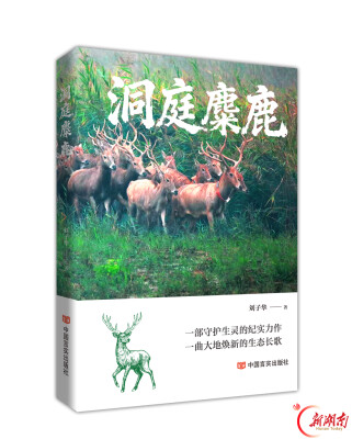 长篇报告文学《洞庭麋鹿》出版，这群“四不像”有了传记