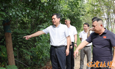 临澧：李雨初开展下沉接访活动