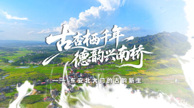 东安县南桥镇：百年德桥润乡土 千年古杏兴产业