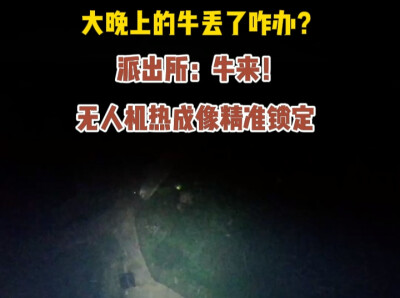 大晚上牛丢了咋办？派出所：牛来！无人机热成像精准锁定
