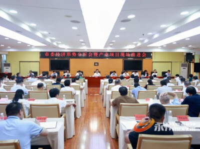 永州市委经济形势分析会暨产业项目现场推进会召开
