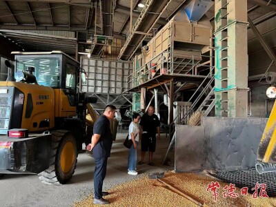 澧县小渡口镇：专家“问诊”查隐患 主动“体检”筑防线