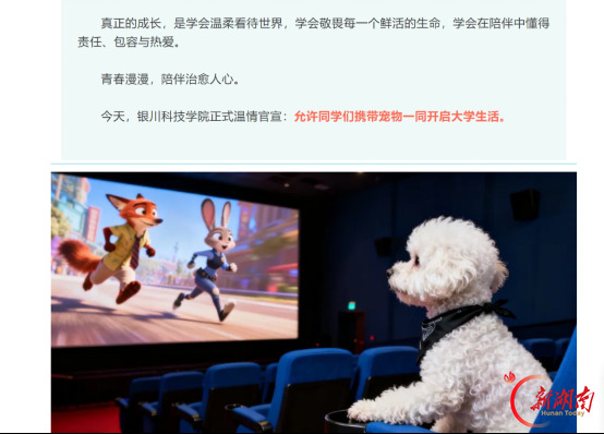 带宠物上大学，是温情治理还是营销噱头？